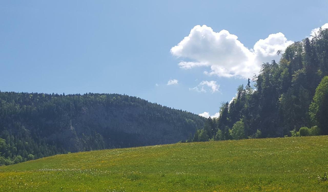 Ferienwohnung Lohnerlehen Марктшелленберг Экстерьер фото